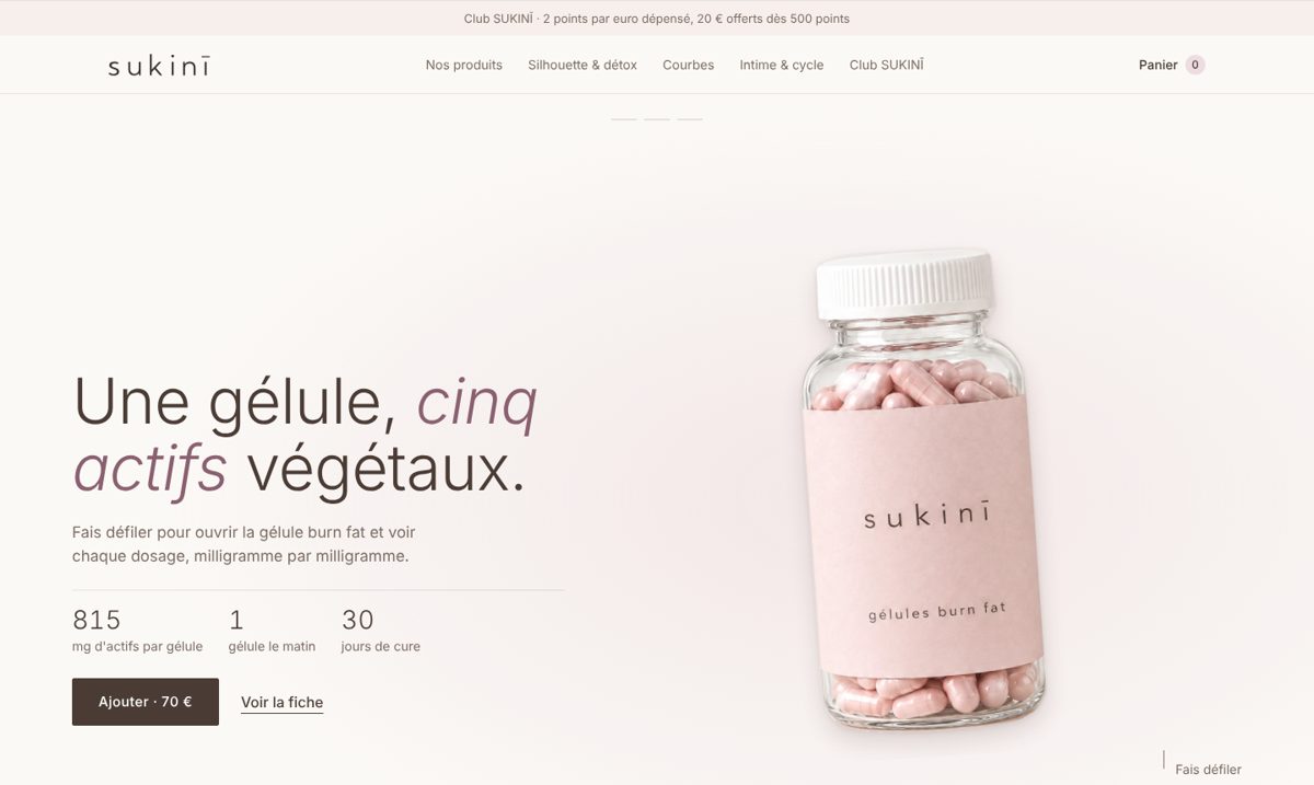 Page d'accueil proposée pour SUKINĪ
